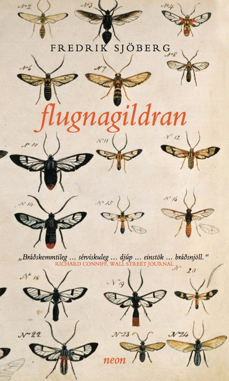 Óvenjuleg og vel skrifuð bók