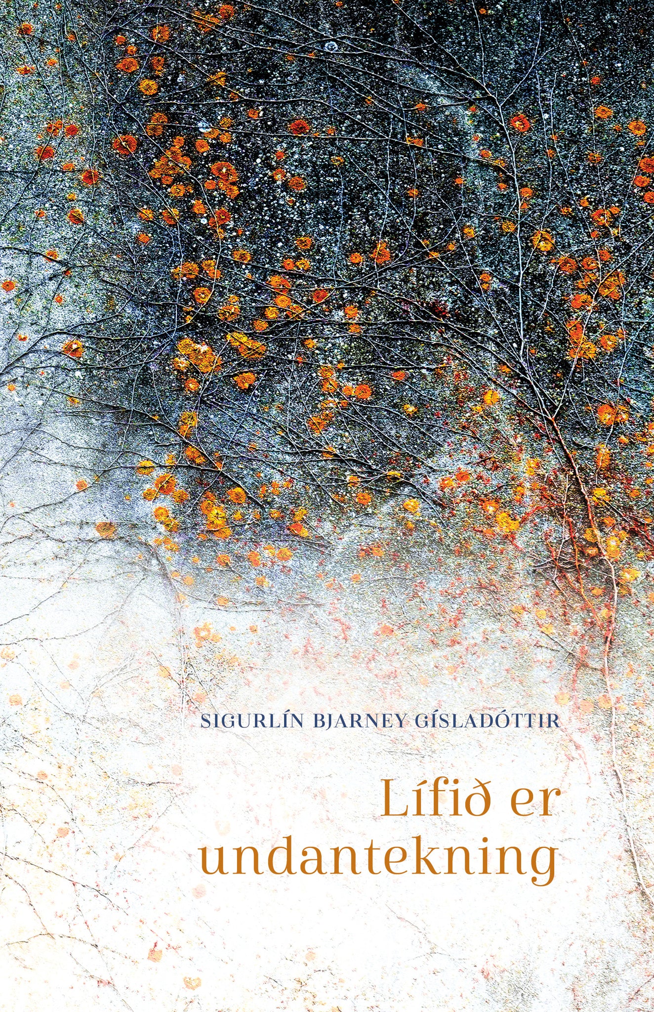 Lífið er undantekning