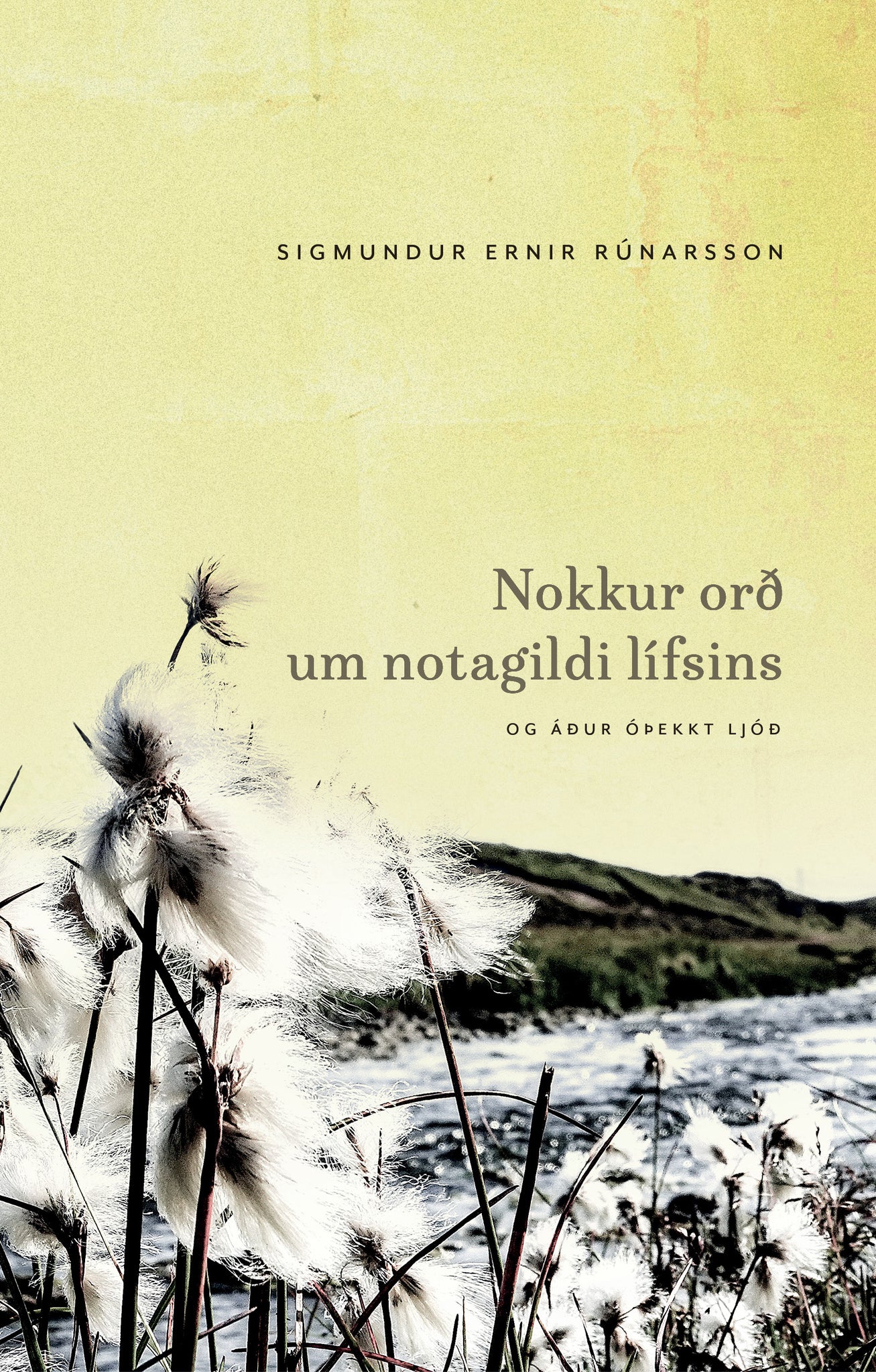 Nokkur orð um notagildi lífsins og áður óþekkt ljóð